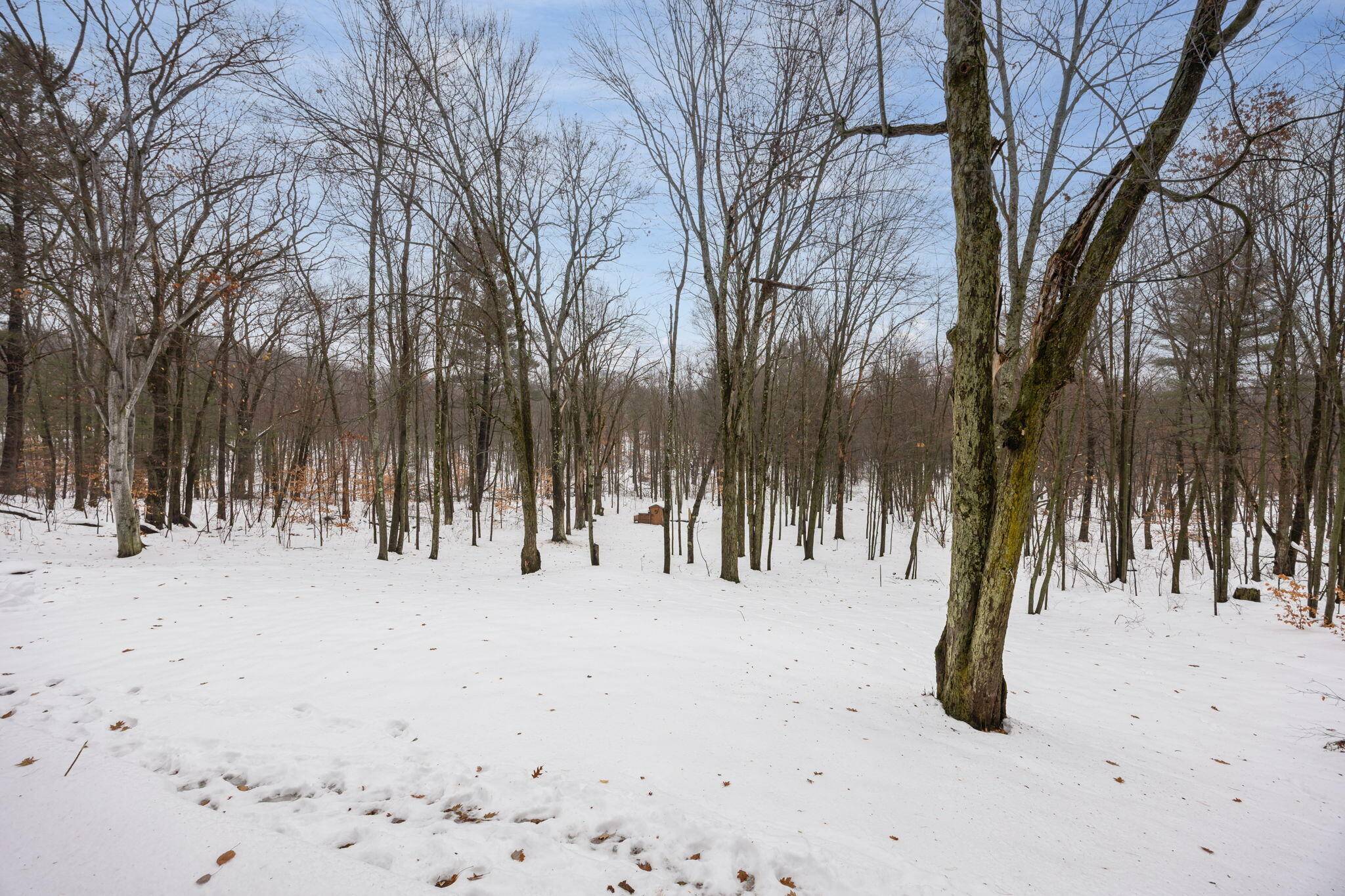 Big Rapids, MI 49307,23020 13 Mile RD