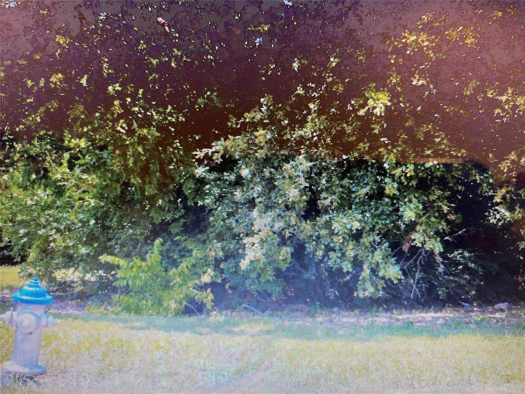 Dallas, TX 75216,3503 E Overton Road