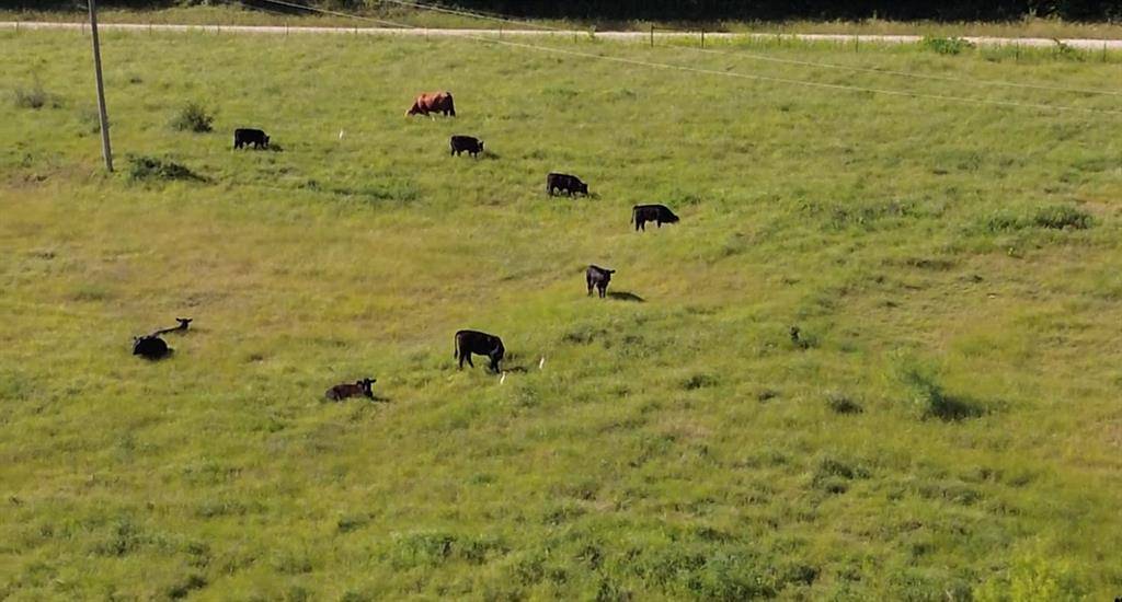 Sherman, TX 75092,7.5 acres Keyes Road