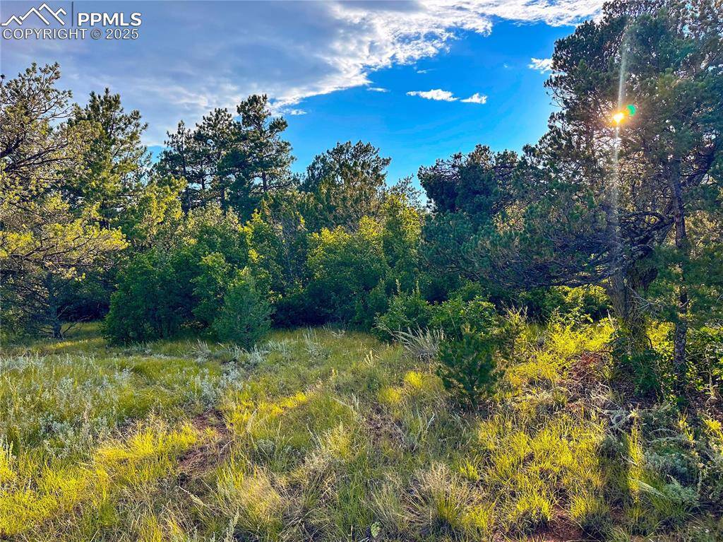 Colorado Springs, CO 80926,16116 Cala Rojo DR