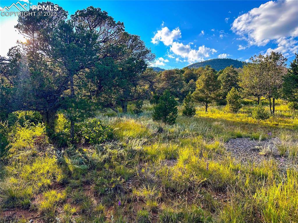 Colorado Springs, CO 80926,16116 Cala Rojo DR