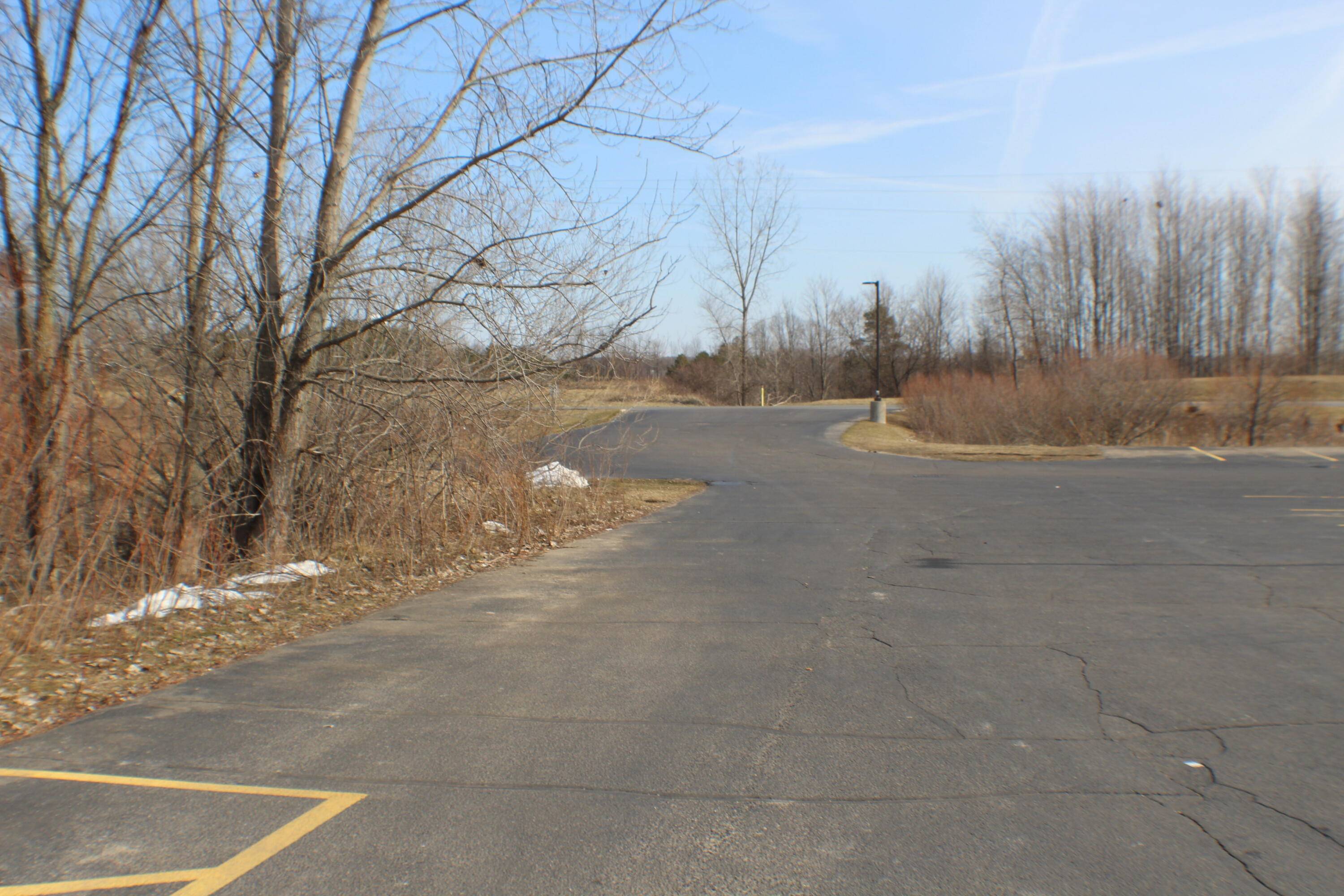 Cedar Springs, MI 49319,14301 White Creek AVE NE