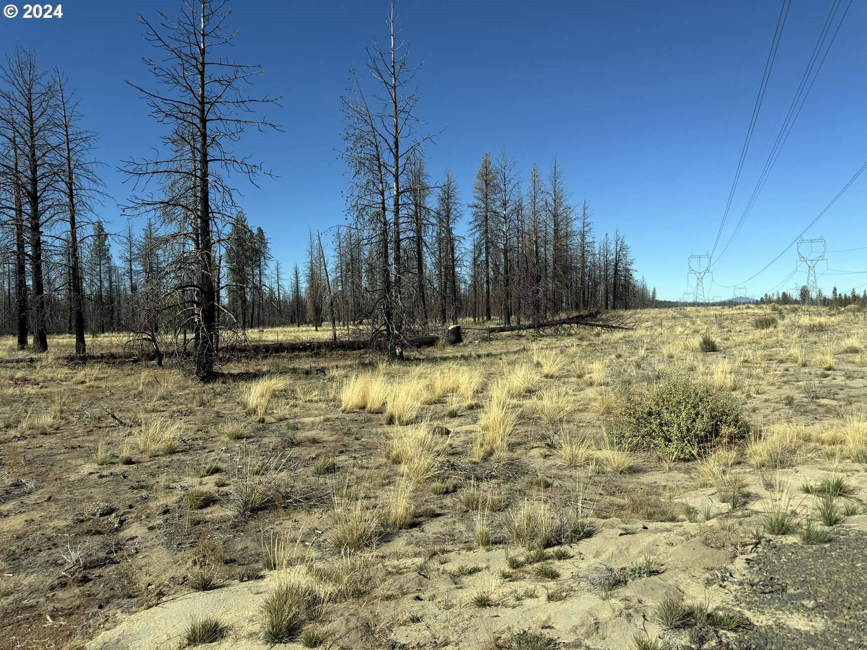 Beatty, OR 97621,Mahogany LN #200