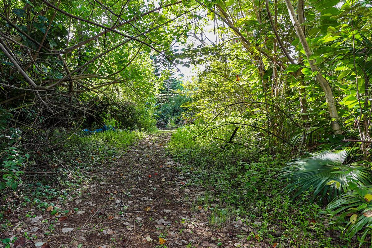 Kapaa, HI 96746,6828-B KUAMOO RD #2