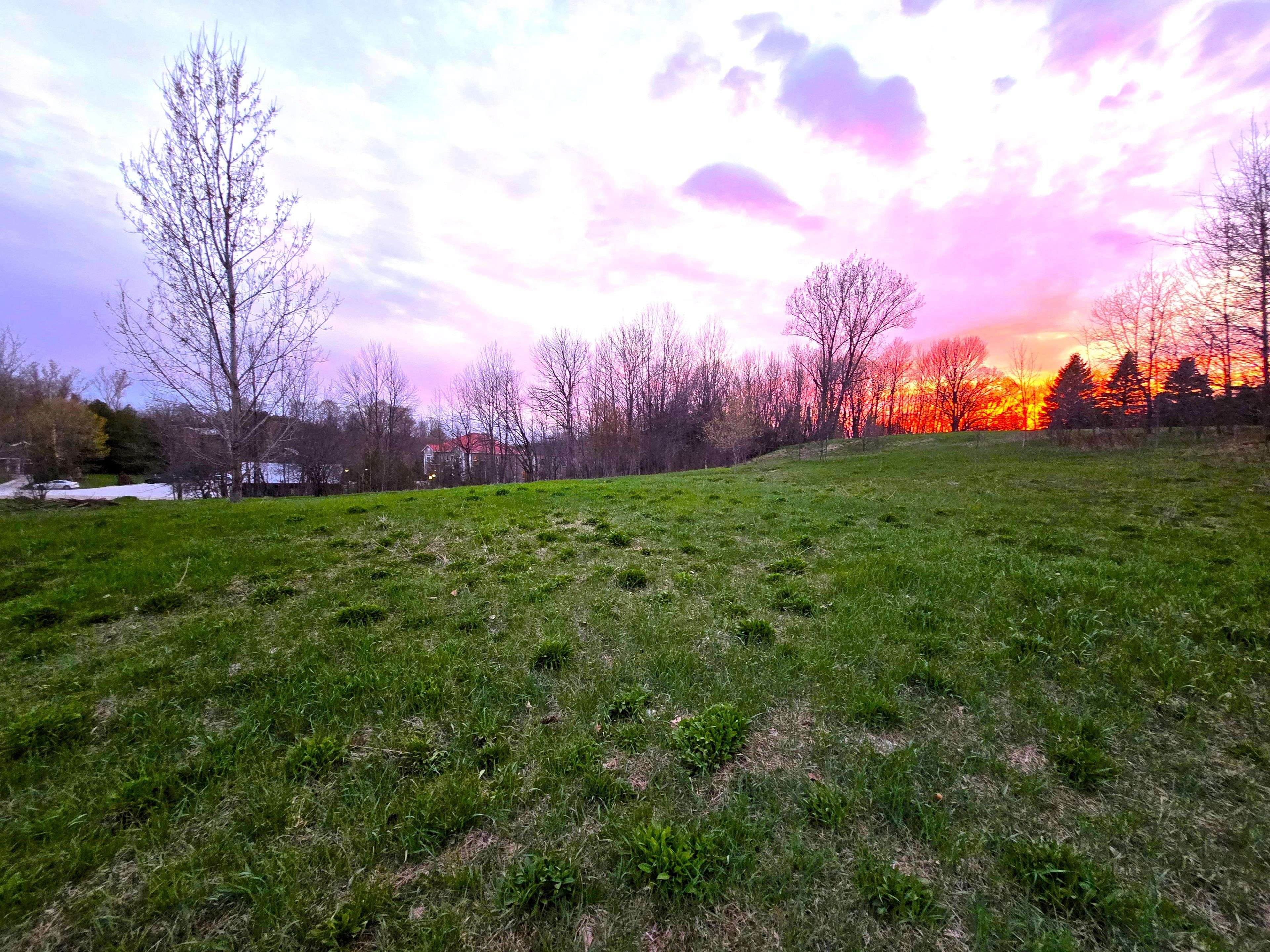 Chatsworth, ON N0H 2S0,n/a Alma ST