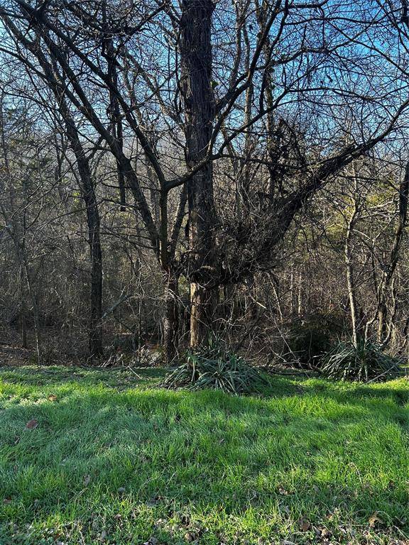 Gordonville, TX 76245,236, 237 STONE CIRCLE Drive