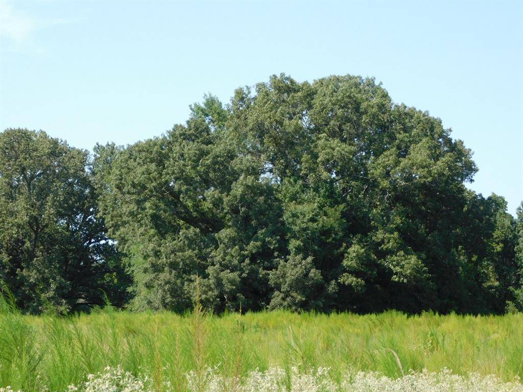 Sarepta, LA 71071,0 Cox Road