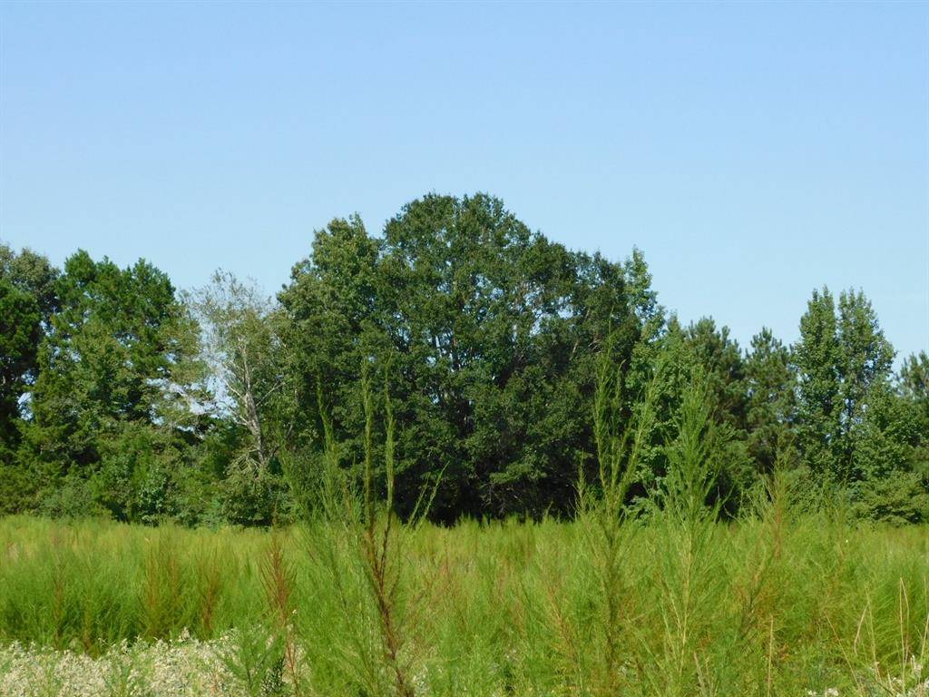 Sarepta, LA 71071,0 Cox Road