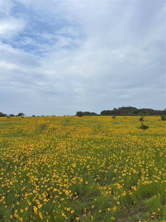 Stephenville, TX 76401,0000 Bison Ridge Drive #Lot 155