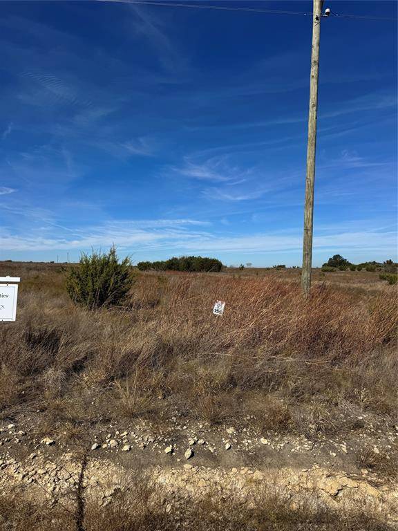 Stephenville, TX 76401,0000 Bison Ridge Drive #Lot 155