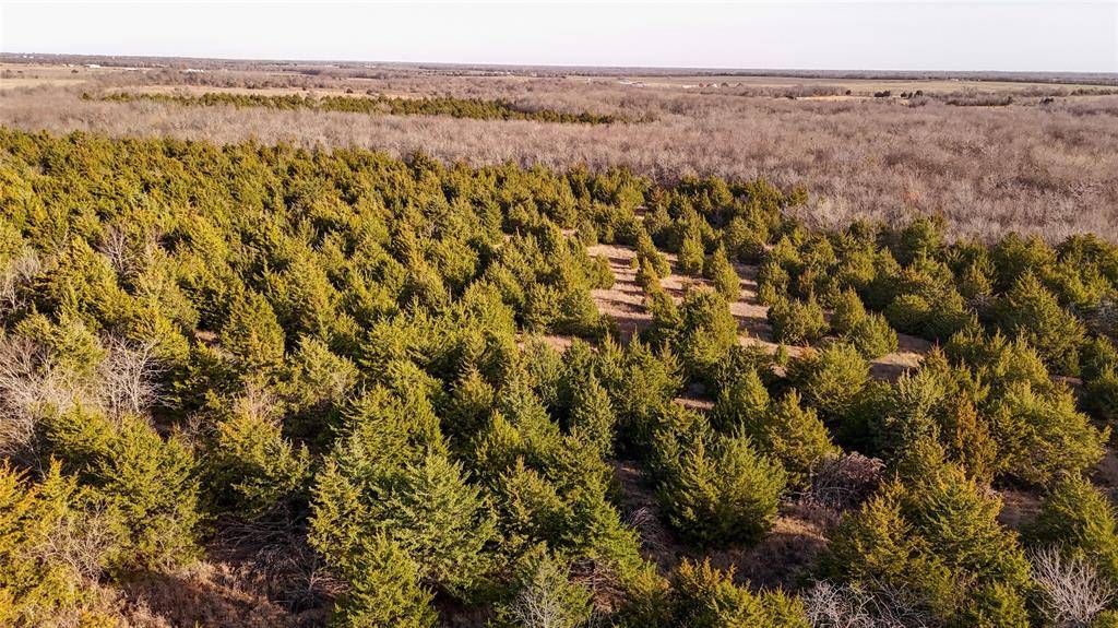 Greenville, TX 75401,1015 Fm 1566 E