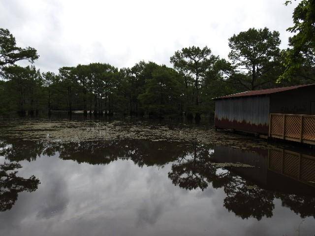 Doyline, LA 71023,351 Gorton Road