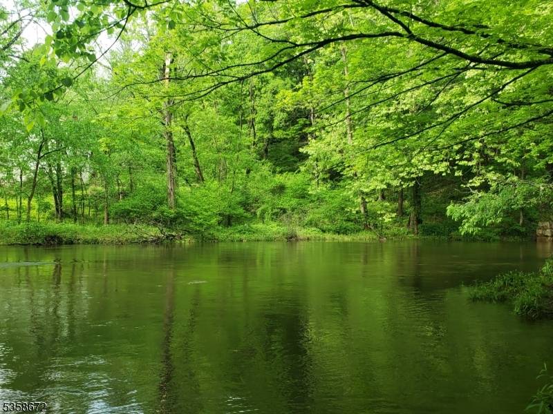 High Bridge Boro, NJ 08829,0 Beavers Street