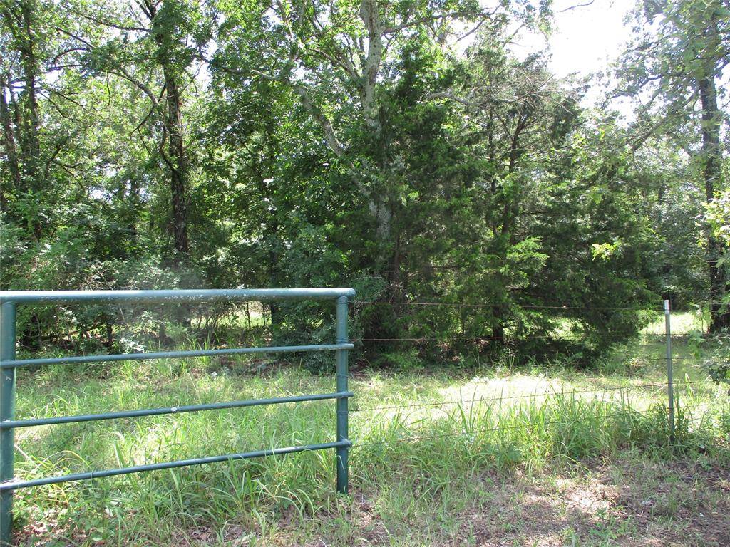 Emory, TX 75440,TBD RS COUNTY ROAD 2400