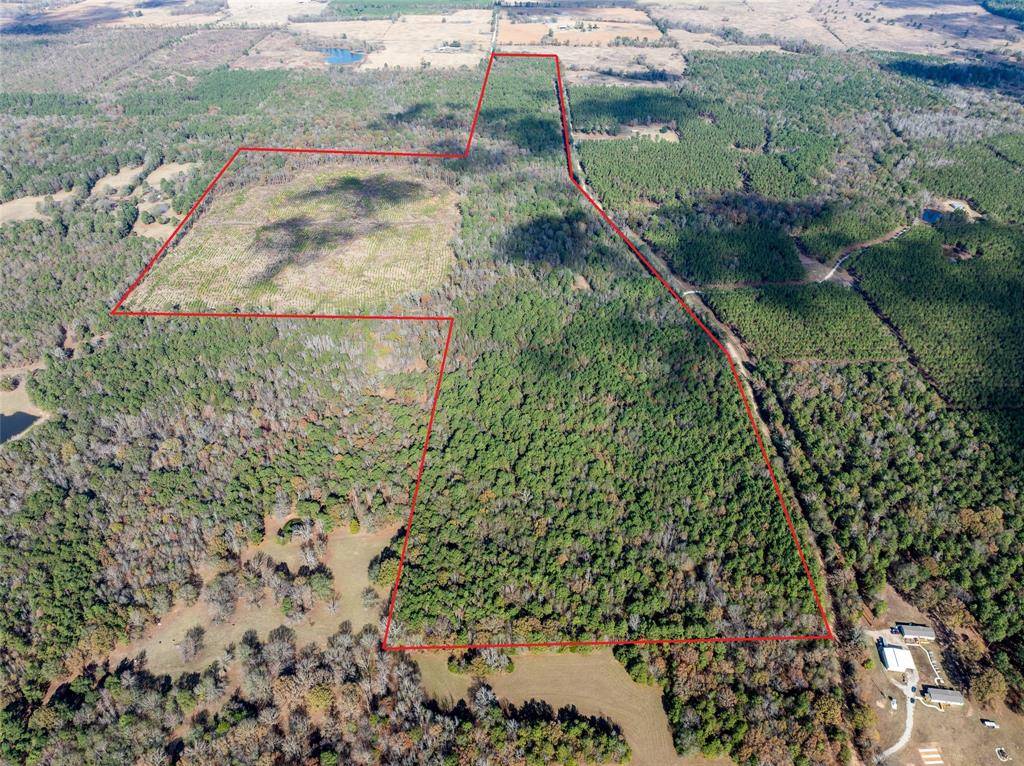 Bagwell, TX 75412,00 CR 2235