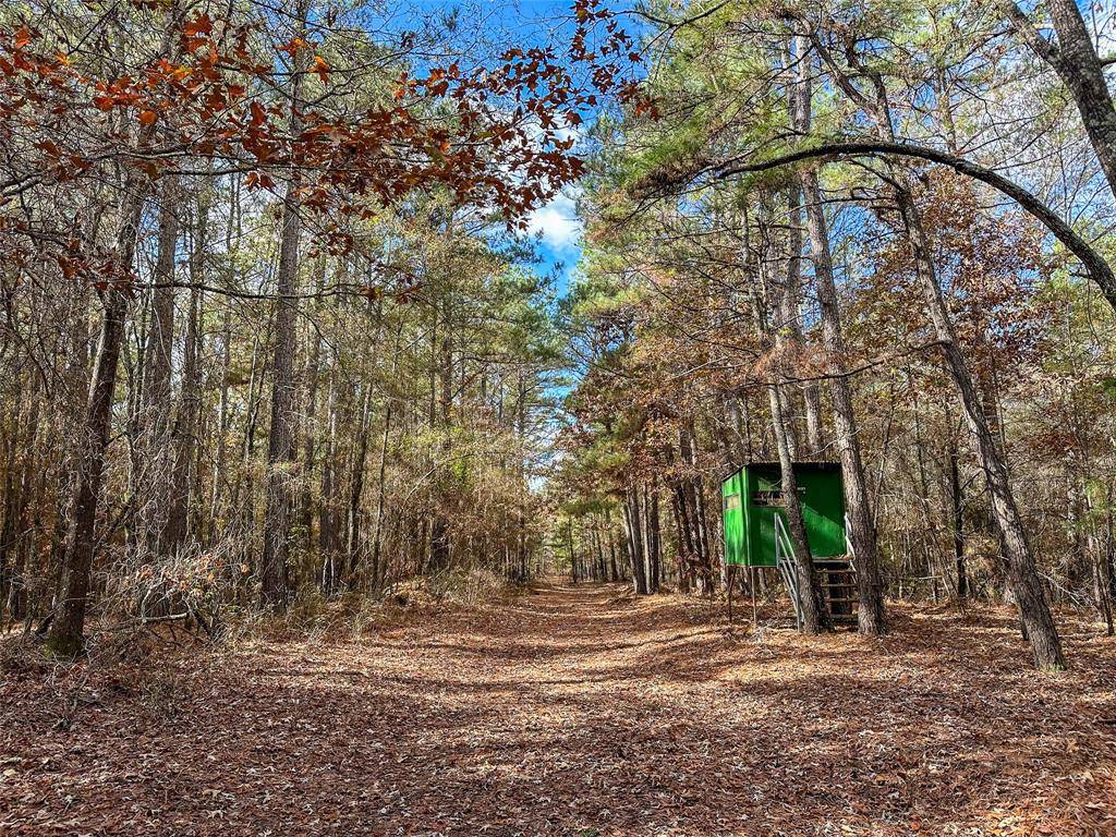 Bagwell, TX 75412,00 CR 2235