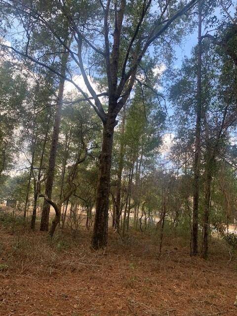 Dunnellon, FL 34431,0 SW 54th street