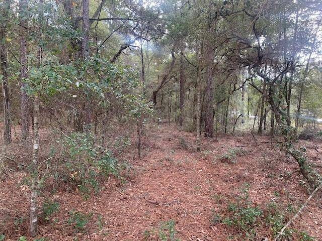 Dunnellon, FL 34431,0 SW 54th street