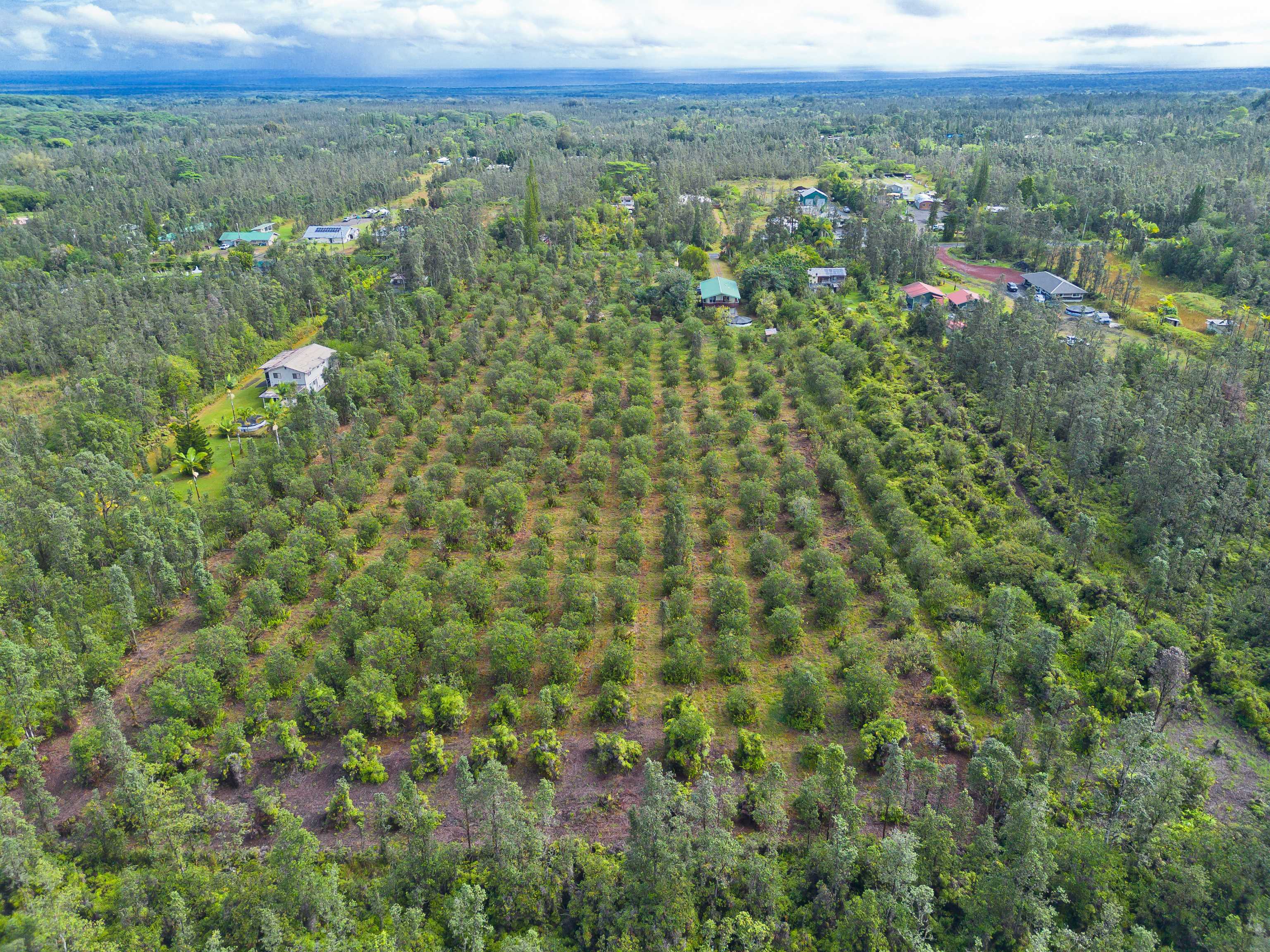 Mountain View, HI 96771,LEHUA ST