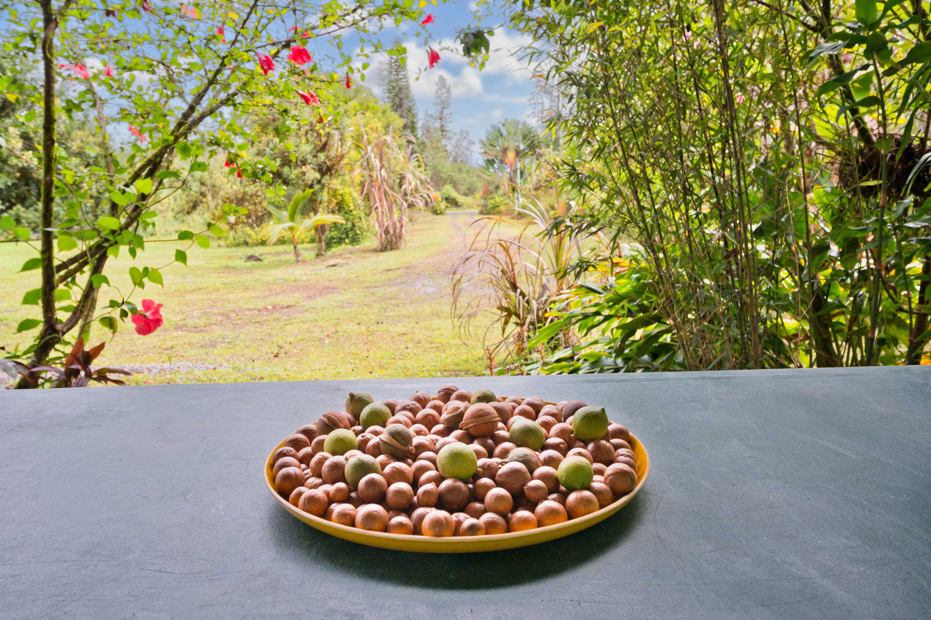 Mountain View, HI 96771,LEHUA ST