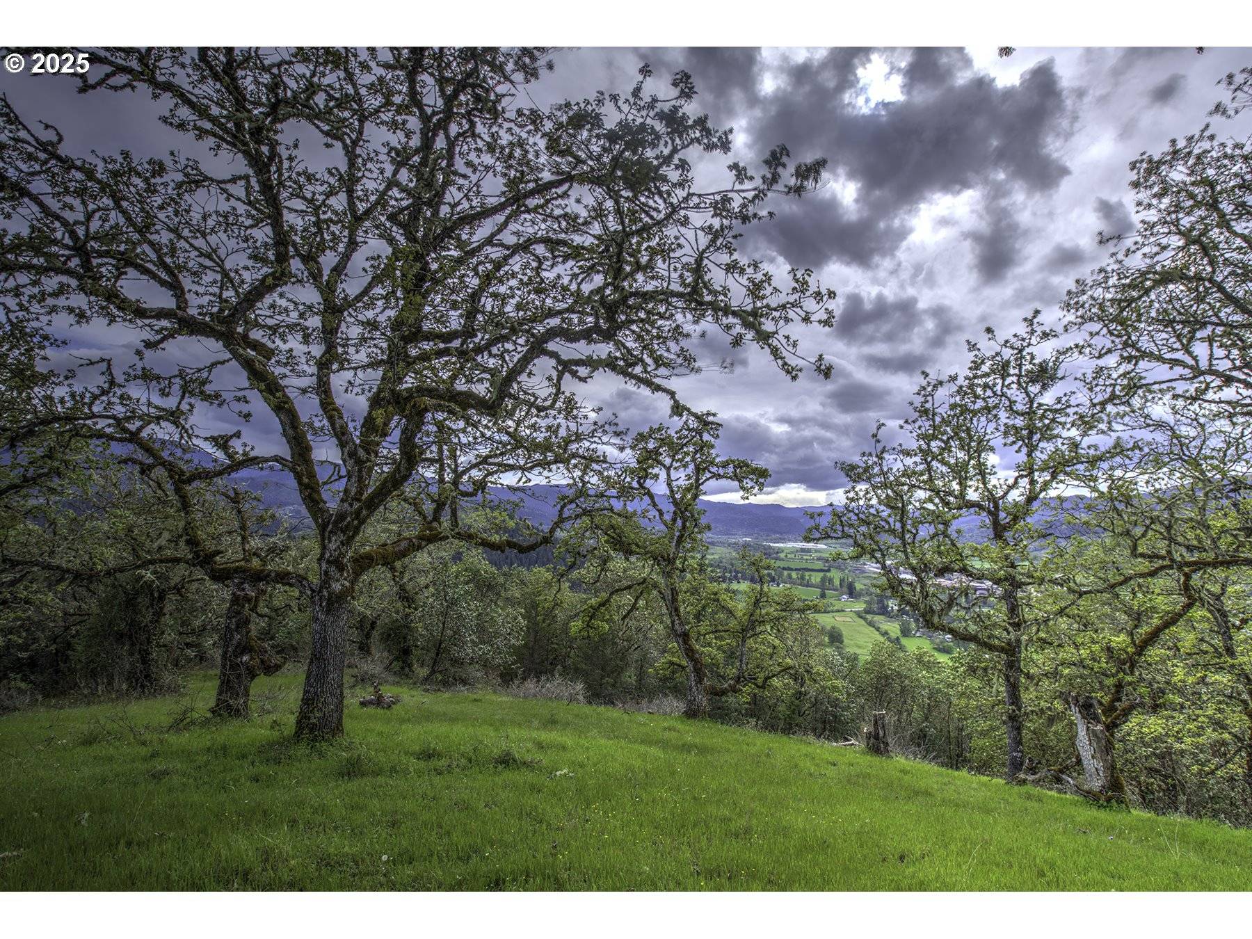 Riddle, OR 97469,1263 YOKUM RD