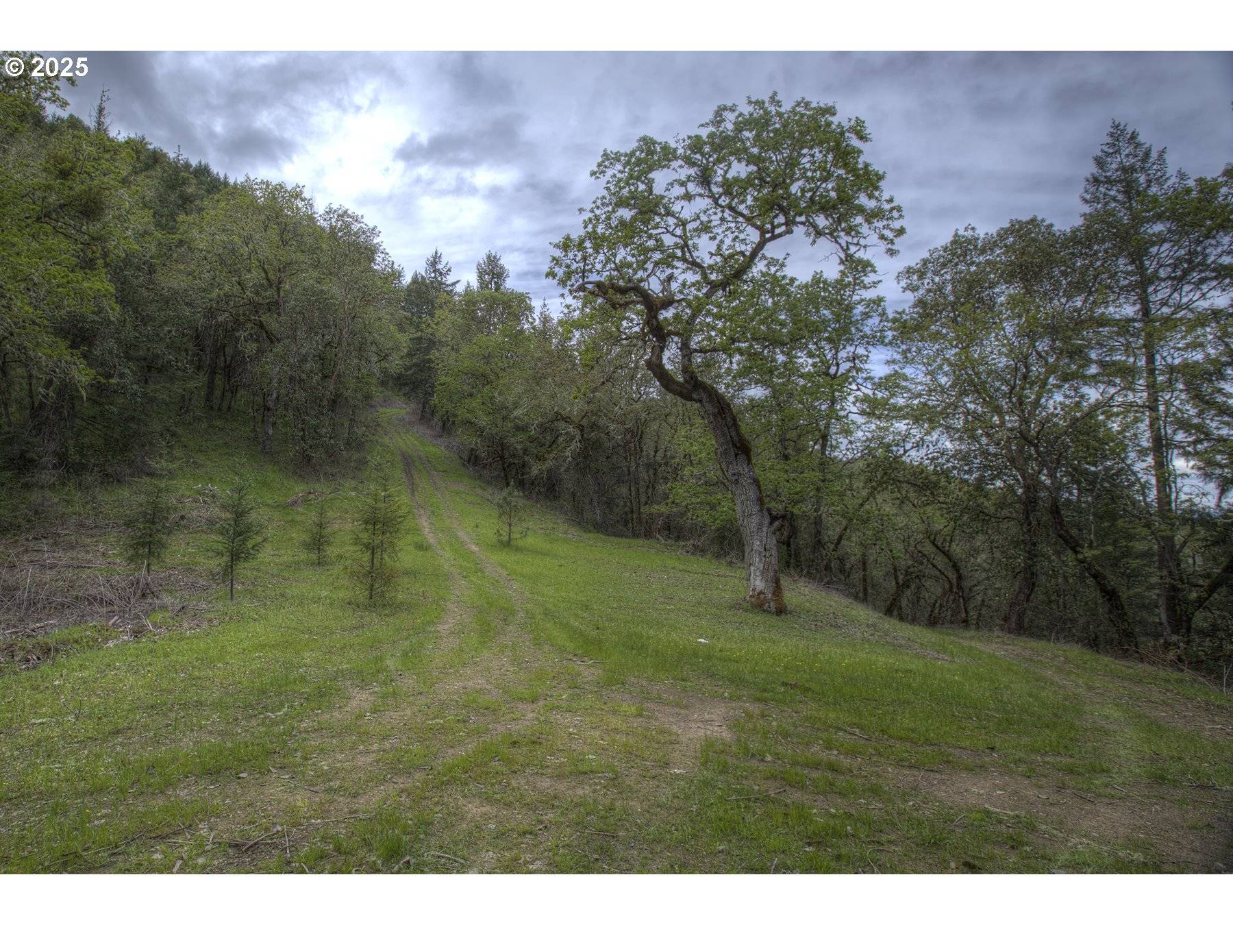 Riddle, OR 97469,1263 YOKUM RD