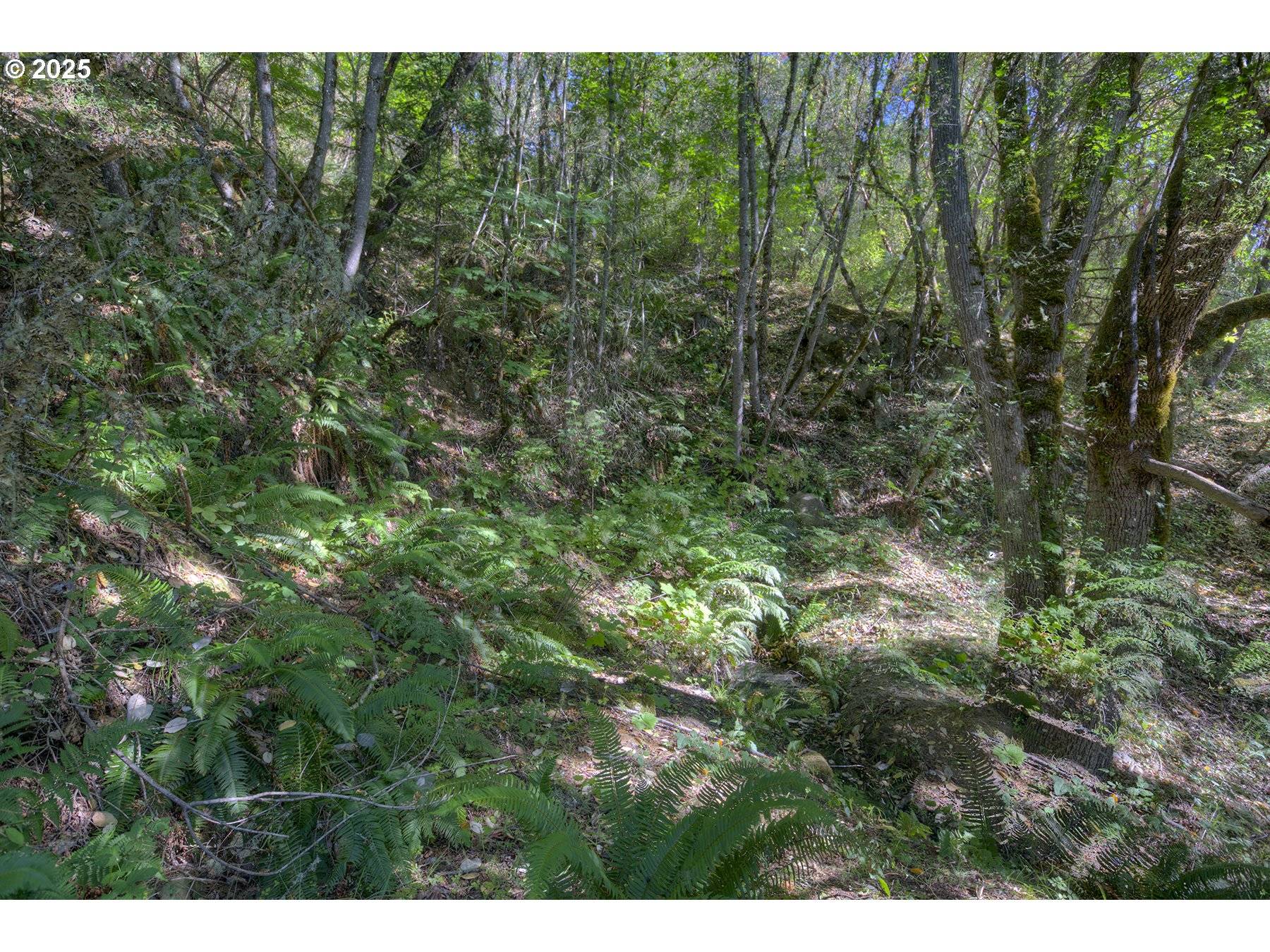 Riddle, OR 97469,1263 YOKUM RD