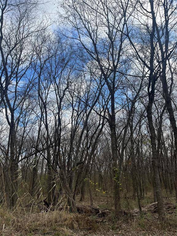 Roxton, TX 75477,N/A Jackson Avenue