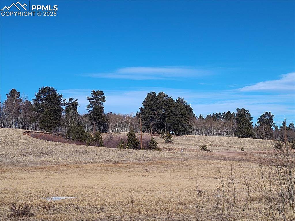 Florissant, CO 80816,29 Hidden Valley DR