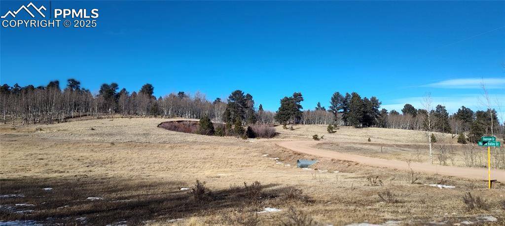 Florissant, CO 80816,29 Hidden Valley DR