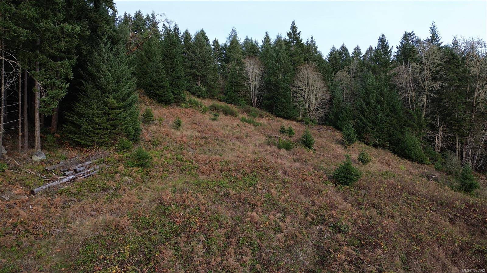 Gabriola Island, BC V0R 1X6,Lot 1 South Rd