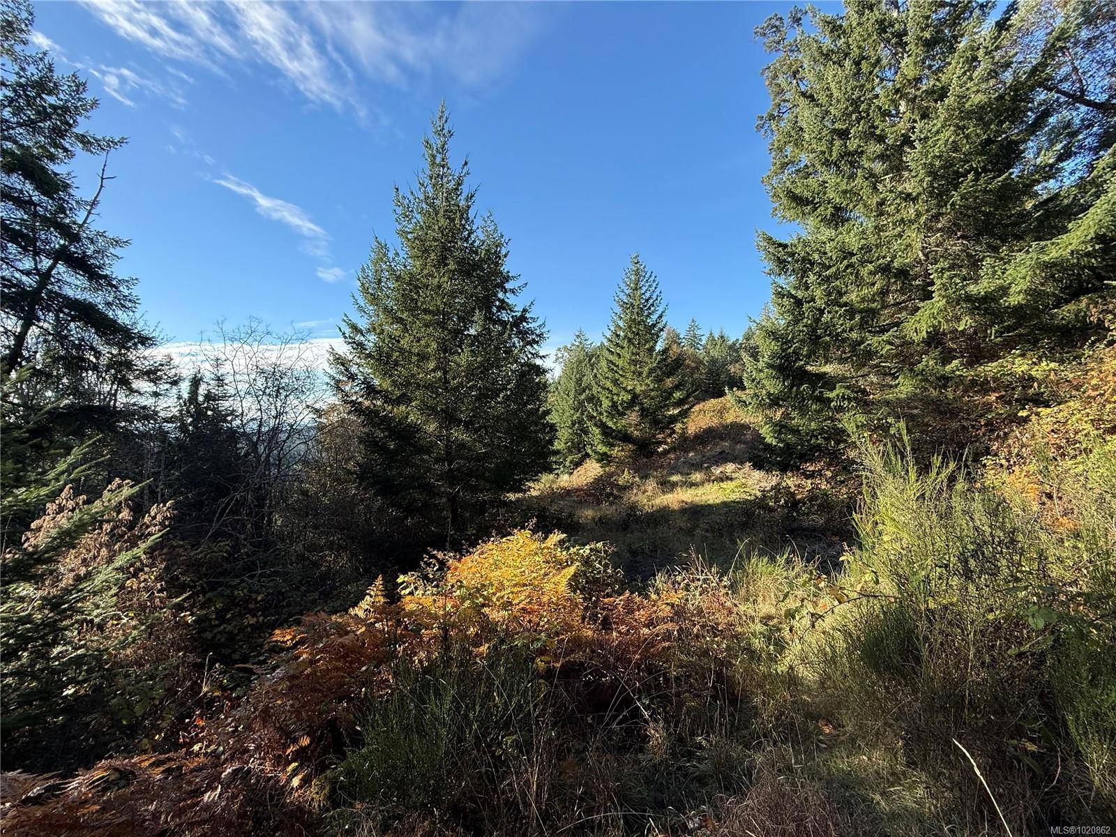 Gabriola Island, BC V0R 1X6,Lot 1 South Rd