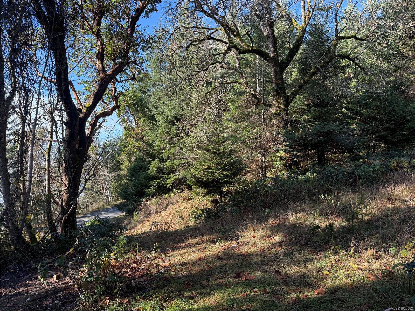 Gabriola Island, BC V0R 1X6,Lot 1 South Rd