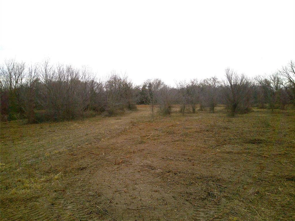 Montague, TX 76251,Tr 1 State Hwy 59