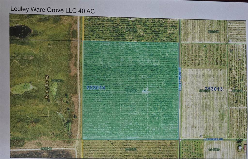 Bartow, FL 33830,CITRUS Grove atLedleyWare CITRUS GROVE LedleyWare Rd