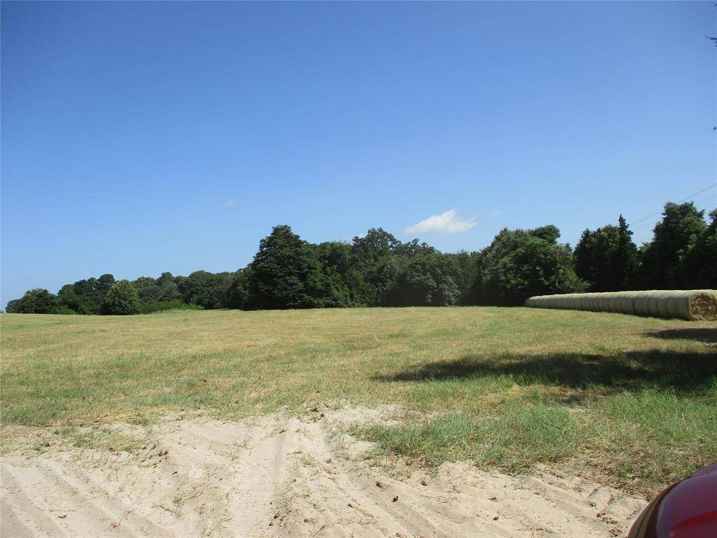 Emory, TX 75440,TBD RS COUNTY ROAD 4020