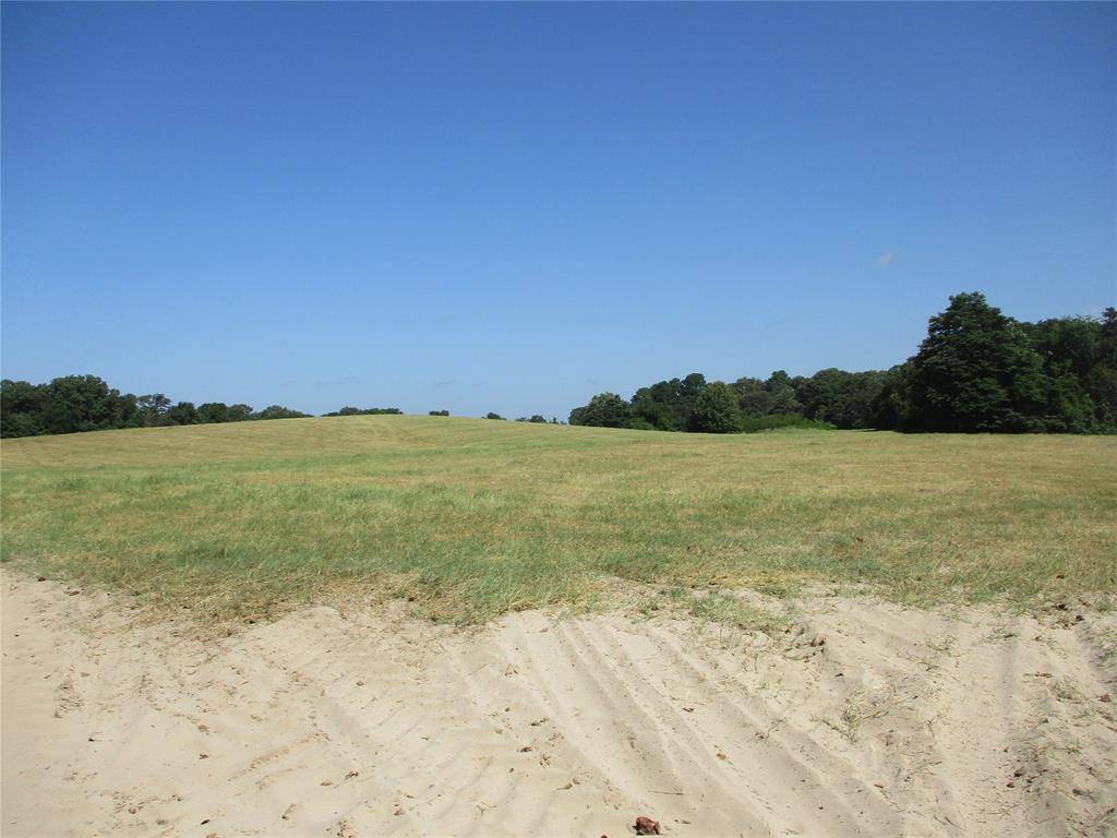 Emory, TX 75440,TBD RS COUNTY ROAD 4020