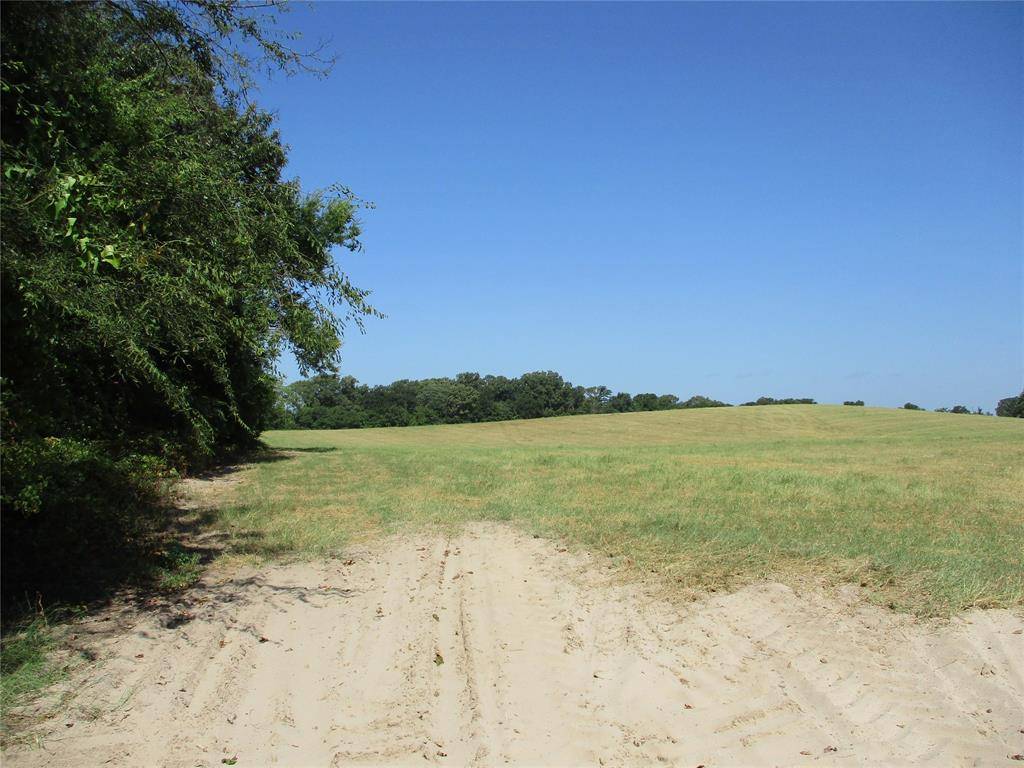Emory, TX 75440,TBD RS COUNTY ROAD 4020