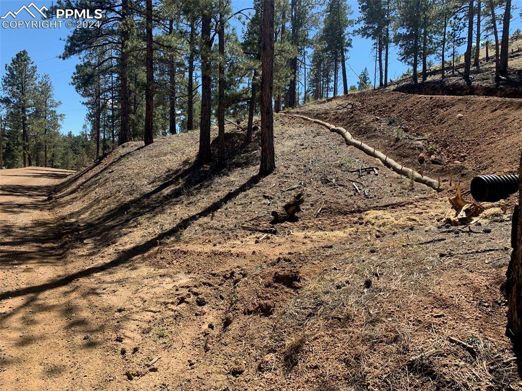 15421 Westcreek RD, Woodland Park, CO 80863