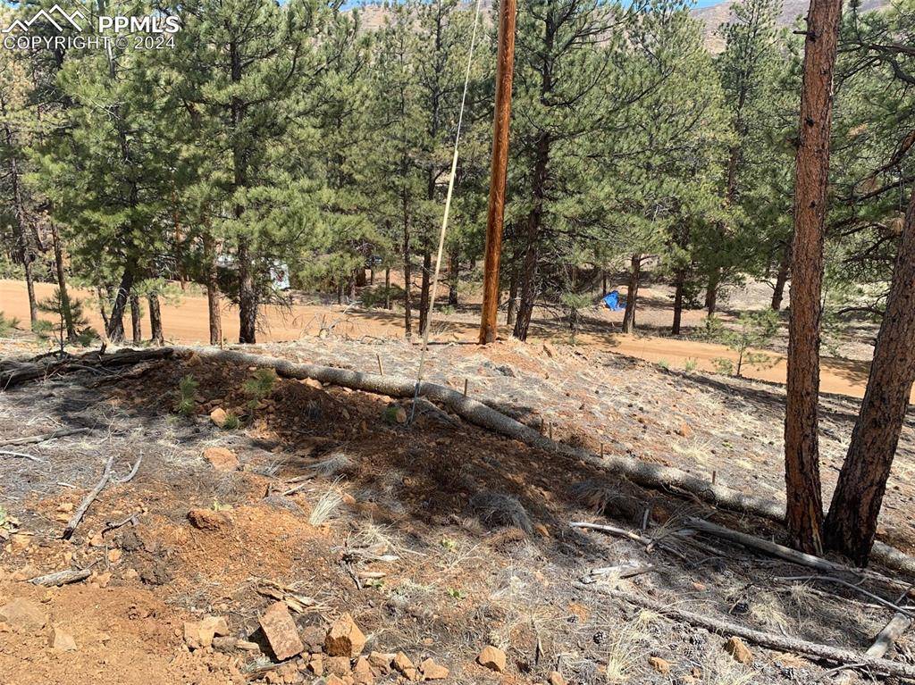 15421 Westcreek RD, Woodland Park, CO 80863