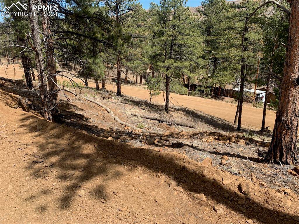 15421 Westcreek RD, Woodland Park, CO 80863