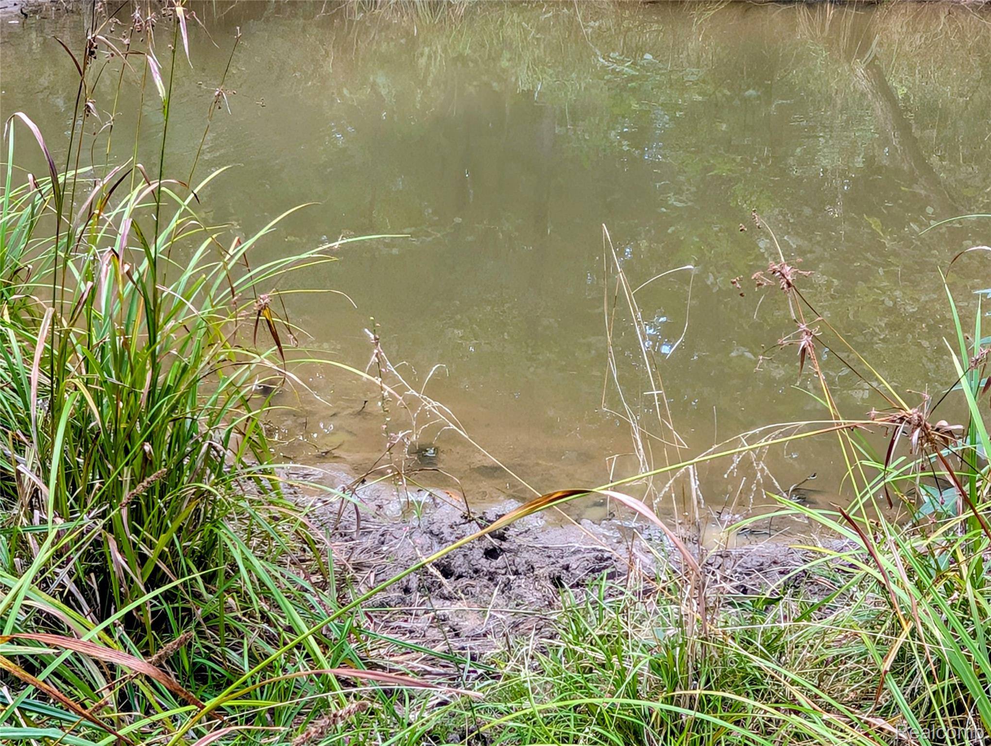 Ashley, MI 48806,0 S Maywood RD