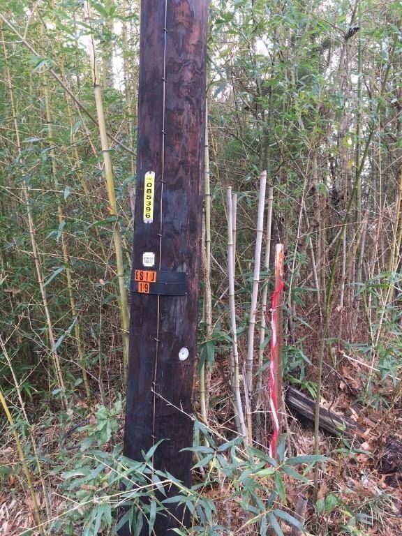 Frankston, TX 75763,000 Forest Hill Drive