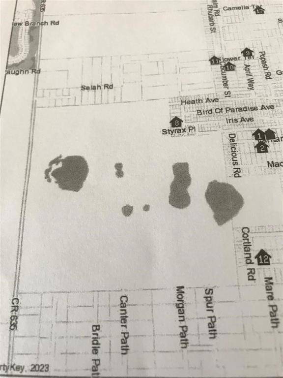 Sebring, FL 33875,2138 Lantana Ave