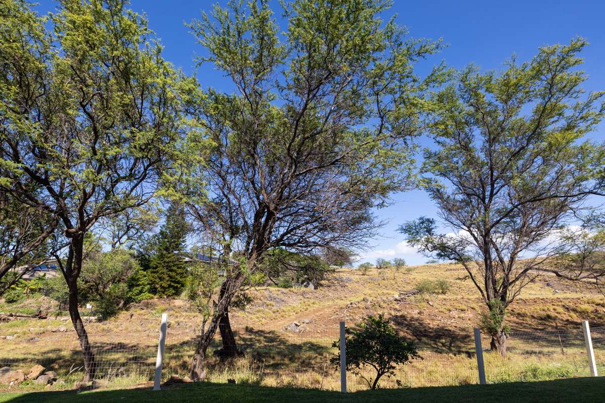 Waikoloa, HI 96738,68-3907 PANIOLO AVE #503