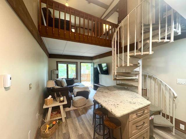 Mancelona, MI 49659,6519 Schuss Mountain LN