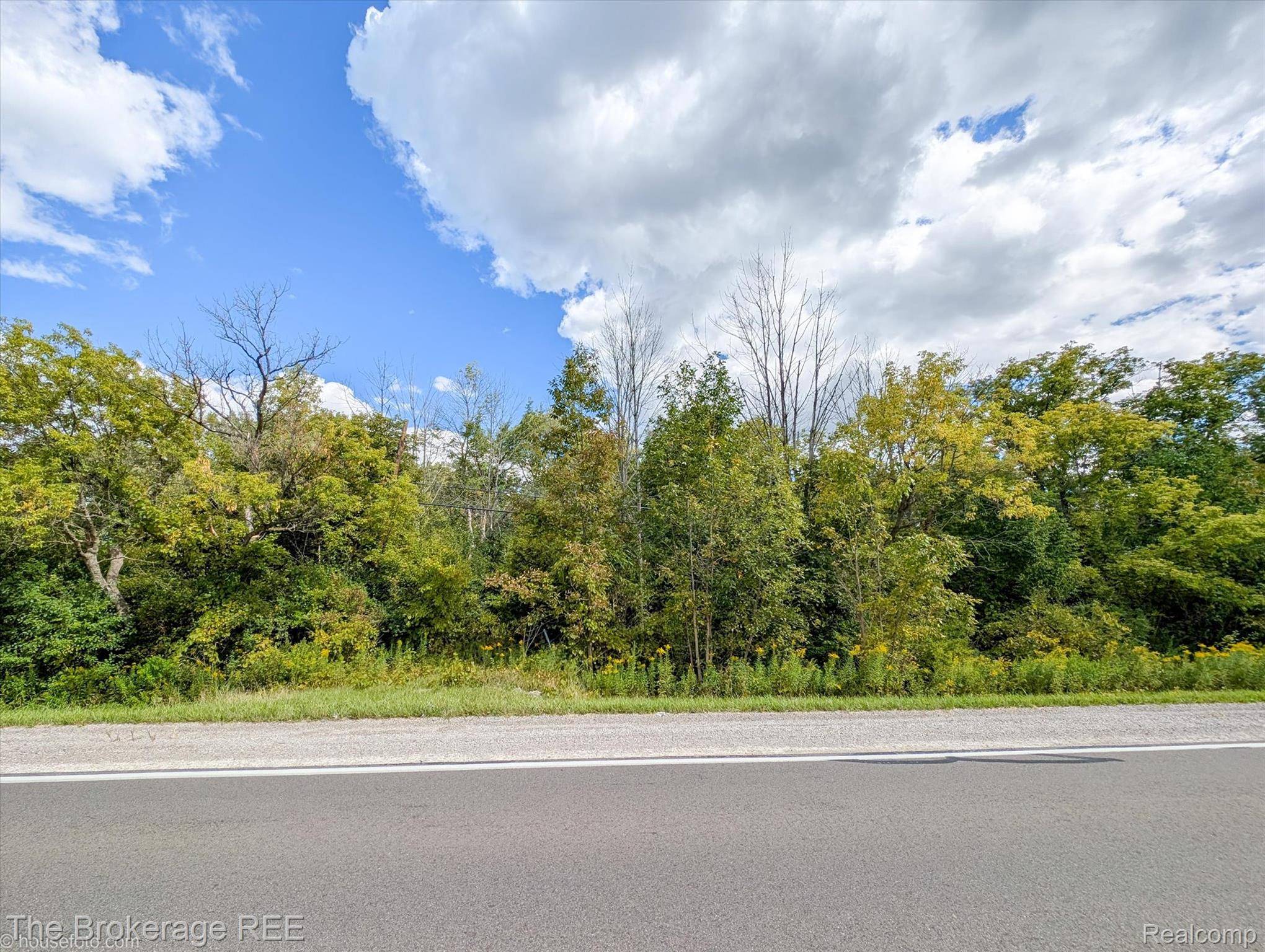 Flint, MI 48532,0 VACANT LAND N Elms RD