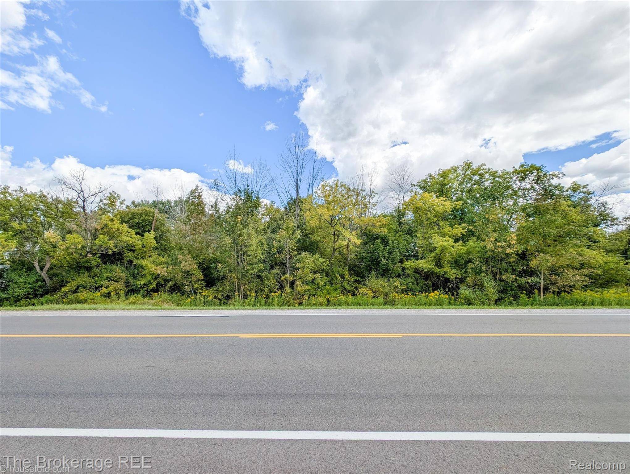 Flint, MI 48532,0 VACANT LAND N Elms RD