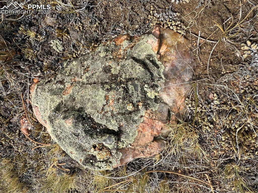 Hartsel, CO 80449,HoHoKan TRL