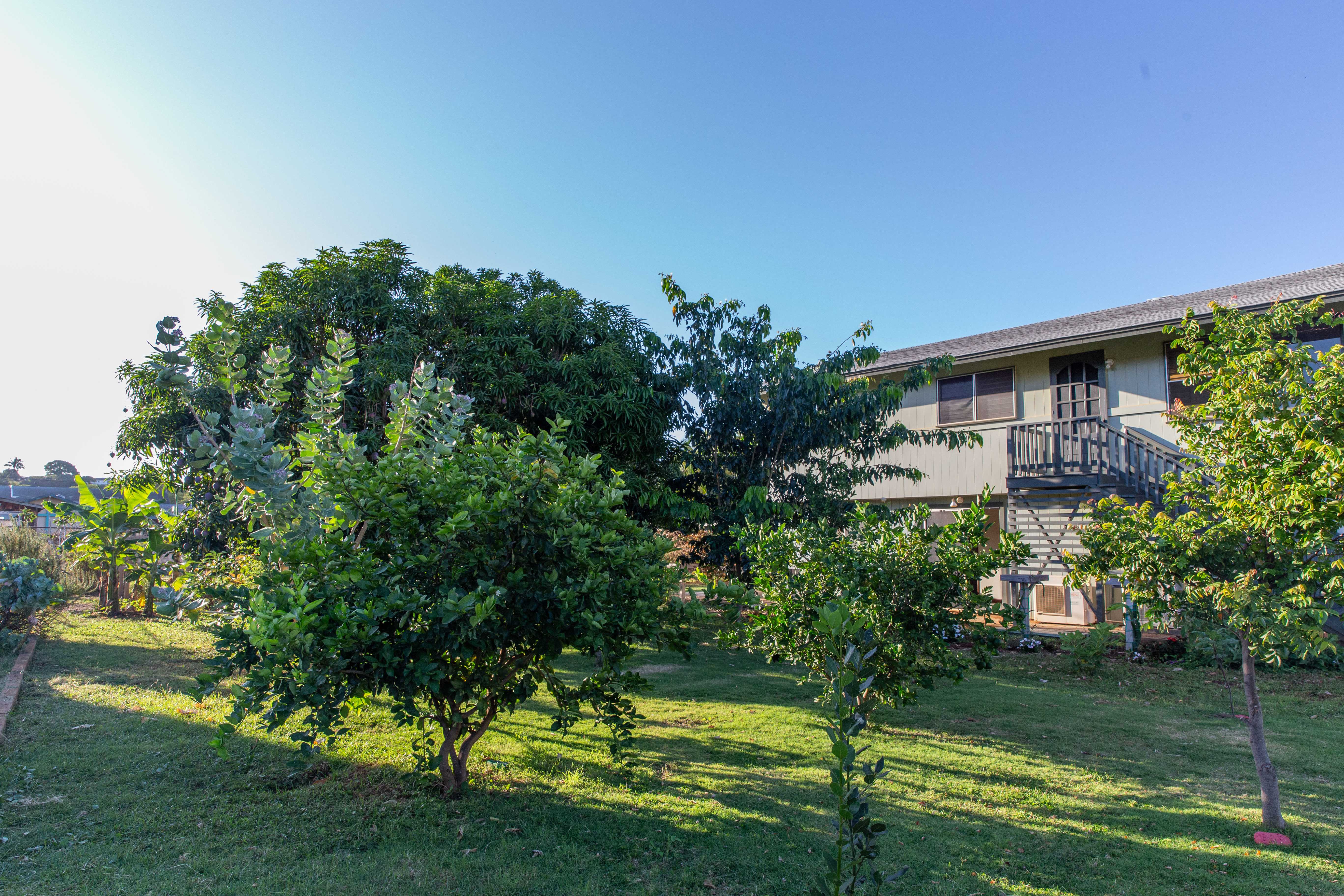 4486 IONA RD, Hanapepe, HI 96716